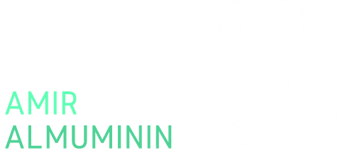 Amir Al-muminin